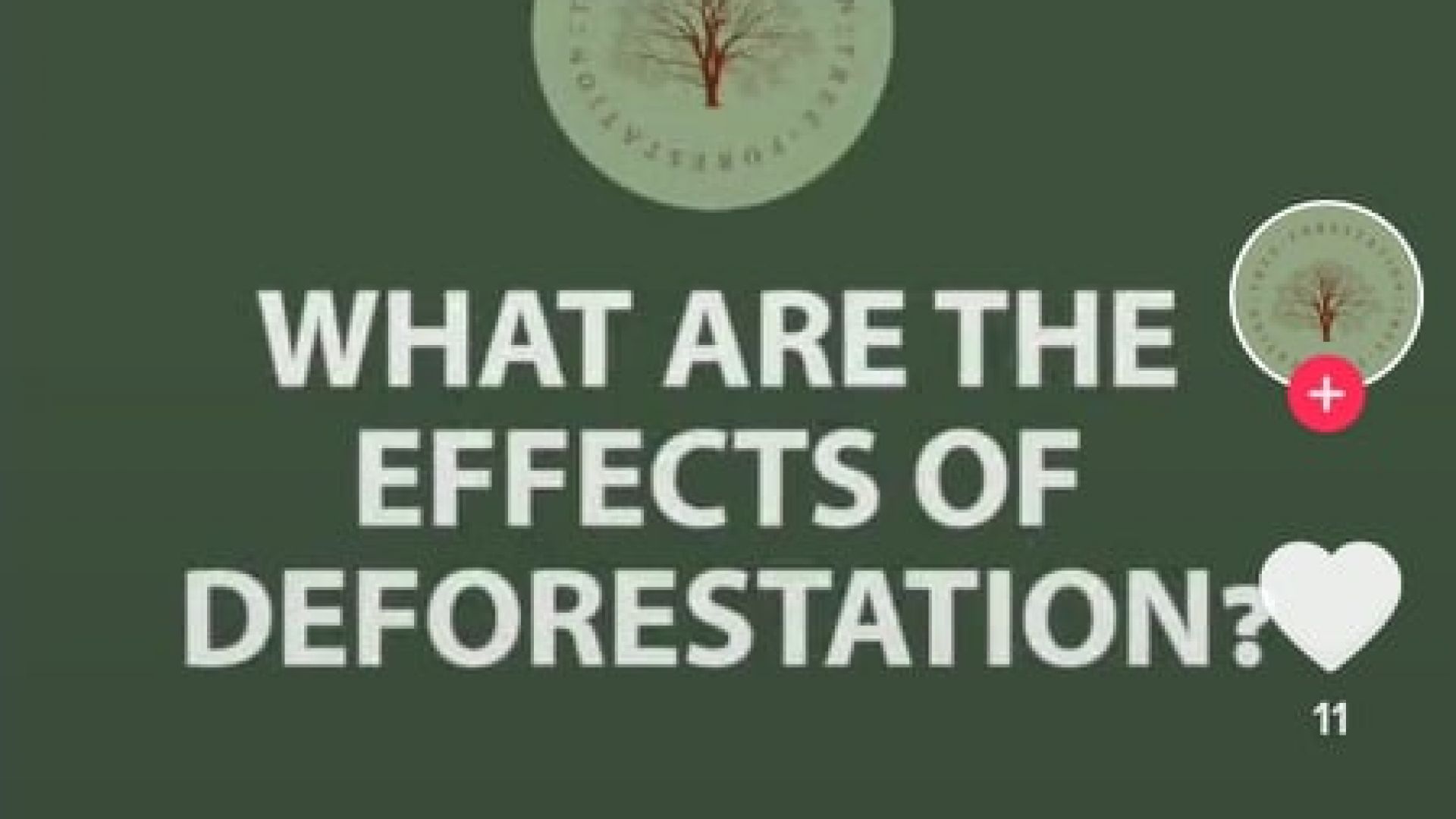 Earth Warriors Use TikTok to Raise Awareness on Pressing Environmental Matters